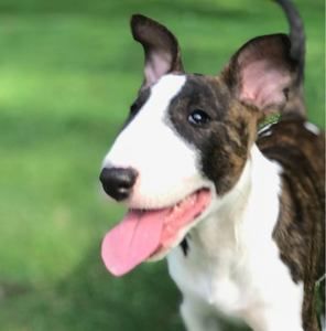 Meet your Posher, Sandy